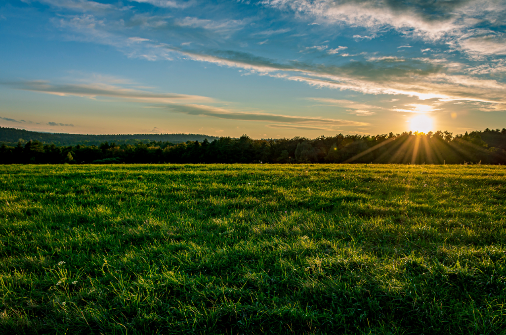 field