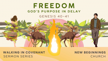 Freedom - Genesis 40-41