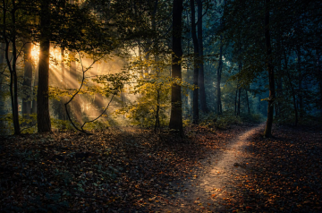 Discover Hope in “The Promise of Deliverance”